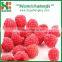 Chinese Fresh Frozen Raspberry