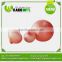 Bulk Buy From China Fresh Onion With Best Price