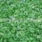 IQF Celery