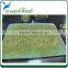 227g private label canned bamboo shoot strips in tin