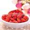 ningxia goji berries