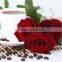 Disposable Eco-friendly Customlized Logo Wooden Coffee Sticks/strriers in China