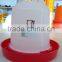 6L High quality plastic chicken drinker in French WQ-D6