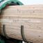 timber wood pressure autoclave