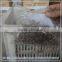 Factory price stainless spring