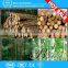 High Output Low Consumption wood scalping machine on sale