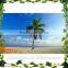 90% similation hot market price of artificial outdoor fake coconut palm tree decoration