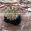 Silver Luxury Pearl & Rhinestone Napkin Ring For Wedding Candlelight Dinner