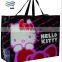 Top Quality Promotion Pp Non-woven Bag,Custom Pp Non Woven Bag,Non Woven Shopping bag