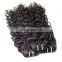 2016 Cheap natural factory price unprocessed malaysian curly hair wet and wavy