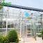 2019 Professional Well-Designed Glass Greenhouse Hydroponics