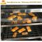 Sales service provided fish smoker chicken / meat smoking oven machine