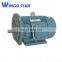 1000 watt electric motor