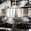 Automatic doypack iodized salt packing machine