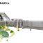 Low Consumption High Efficiency Vegetable Bubble Washing Line Vegetable Fruit Washing Machine