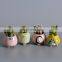 Wholesale ceramic candy color succulent flower thumb pot