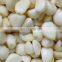 good quality Chinese fresh frozen garlic with reliable price