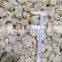 Sinocharm BRC A Approved 4-6CM IQF Cauliflower Floret cut Frozen Cauliflower