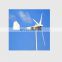 Customized Power Aerogenerador Wind Turbine10kw Generator