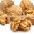 Wholesale low moq bulk  cheap walnuts seeds kilo price raw nuez walnut from tree