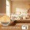 Smart APP Google Home FM Radio Alarm clock Wake up Light Sleep trainer
