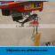 mini electric hoist 100 kg