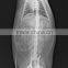 Konida fuji medical x-ray film, printed with fuji and agfa thermal printers