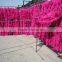 Wholesale Feather Boas 40G Pink With Black Tips Chandelle Feather Boa Dress Up