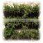 vertical gardening decorative wall hanging planters and flower pots                        
                                                Quality Choice