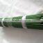 Bamboo Products/Bamboo Plant Sticks