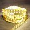 5050 qualified LED strip light 3 chip 3RS double pcb from led factory