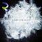 Hot Sale duck feather white duck feather