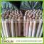 SINOLIN Natural wooden rake handle with tapered end