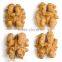 Extra chinese walnuts,walnut meat, walnuts kernel