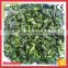 Good Quality Fresh Green Spinach Vegetables