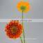 Classic and pretty export fresh promotional long stem flowers fresh cut gerbera decorative flowers without stems with 70-80cm