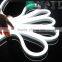 2016 China factory Cheap price for 12v led waterproof rope light