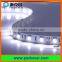 30LEDs/60LEDs SMD5050 white LED strip 12VDC/24VDC