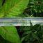 agriculture gardening used flat emitter irrigation PE tape
