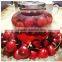 canned sweet cherry