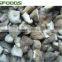 2015 new crop IQF frozen shiitake mushrooms