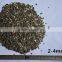 Fine grade vermiculite for Insulation and Foundries