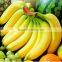 ripening agent 85% TC ethephon