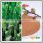 Agrolink Fulvic Biological fermentation fertilizers