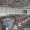 steel structure chicken poultry house/Steel fabrication steel structure chicken poultry shed design/engineering steel structure