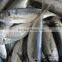 Land Frozen Horse Mackerel Frozen 20 25 cm +