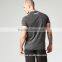 Men's Performance Short Sleeve Top Polyester Spandex Dry Fit T Shirt Raglan Sleeve Sports T Shirt Wholesale