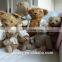 High quality Teddy bear with T-shirt and jeans ,Unique and speical teddy bear .customized stuffed toy