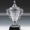 Customize top grade acrylic trophy star