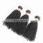 Youth Beauty hair 2017 Best saling top quality virgin human 9A grade brazilian hair weaving in kinky curl wholesale price